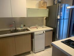 Residences @ Evelyn (D11), Condominium #491696171